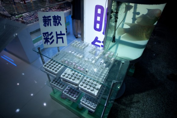 Shanghai: contact lenses