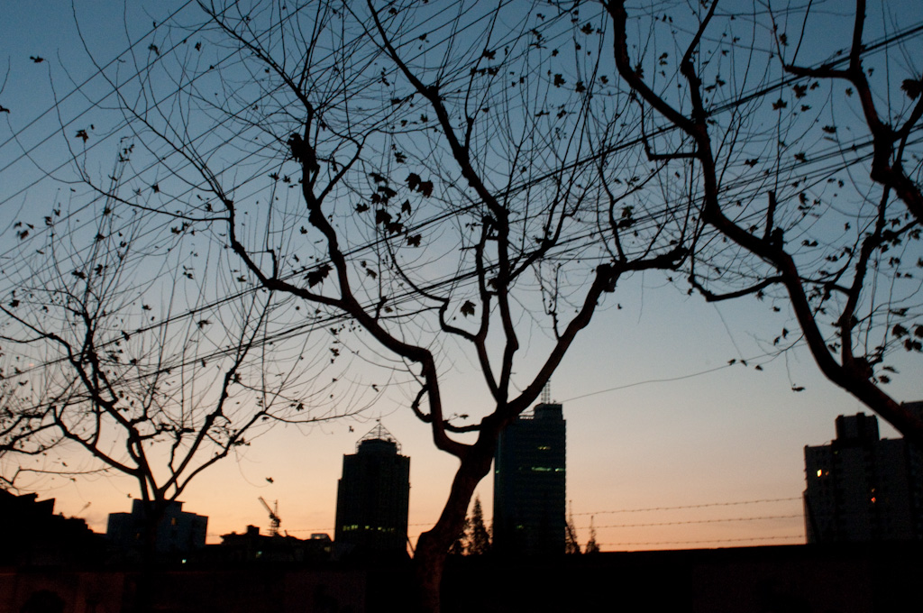 Shanghai: power lines at dawn