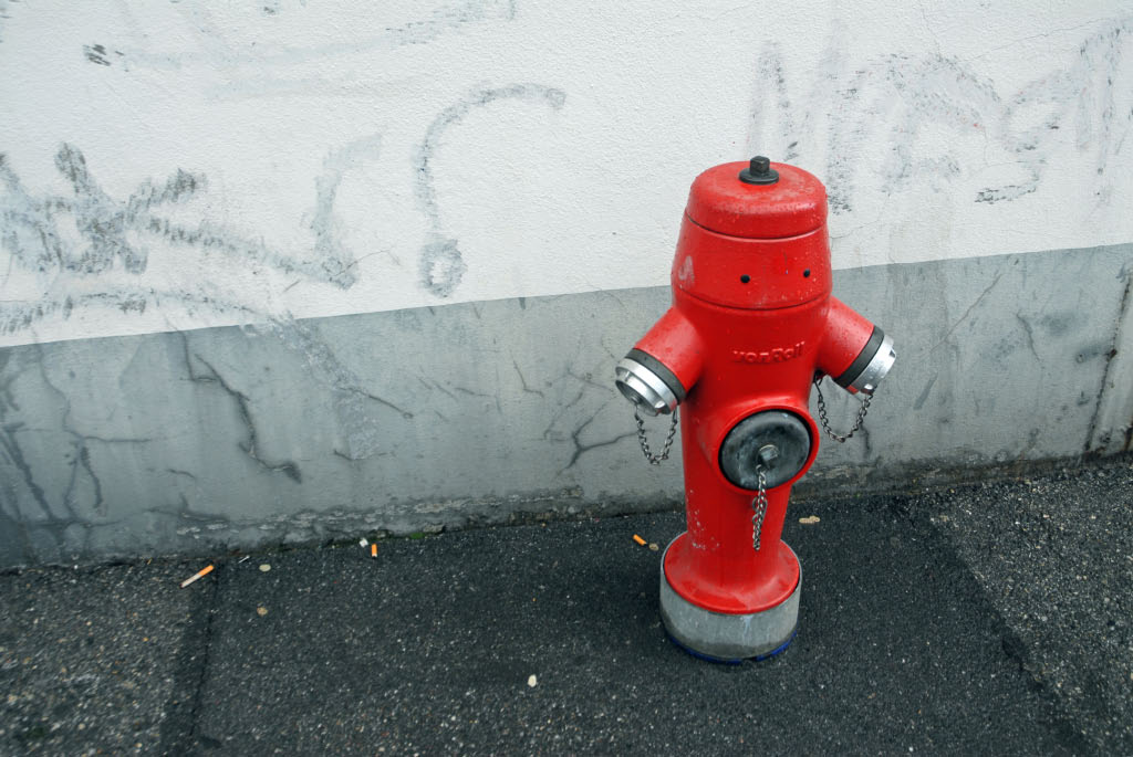 Geneva: a happy fire hydrant