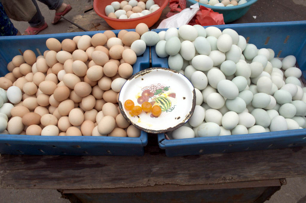 Handan: egg colour norms