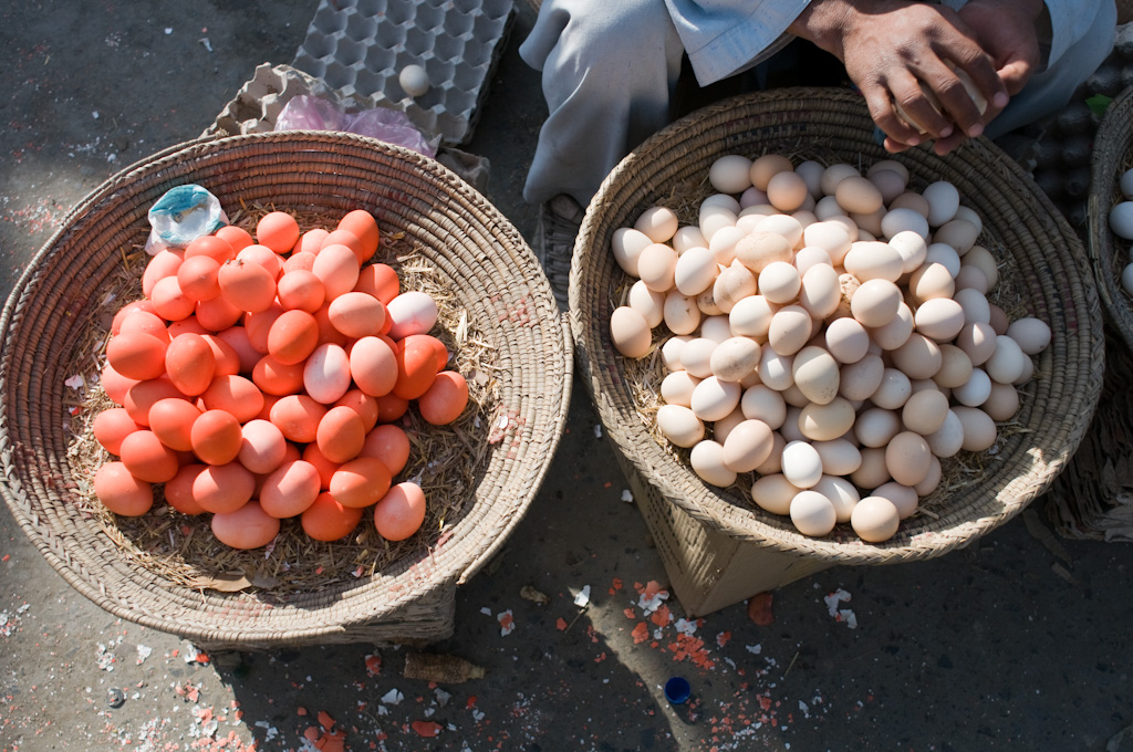 Kabul: egg colour norms