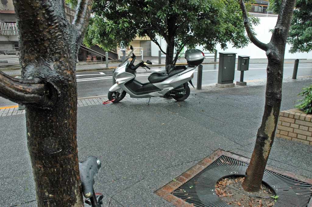 Tokyo: motorbike parked under tree