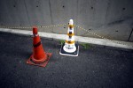 Tokyo: cone darwinism