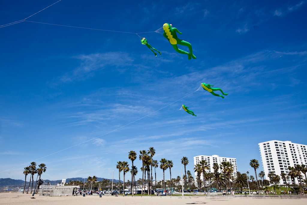 Venice: skydiving frogs