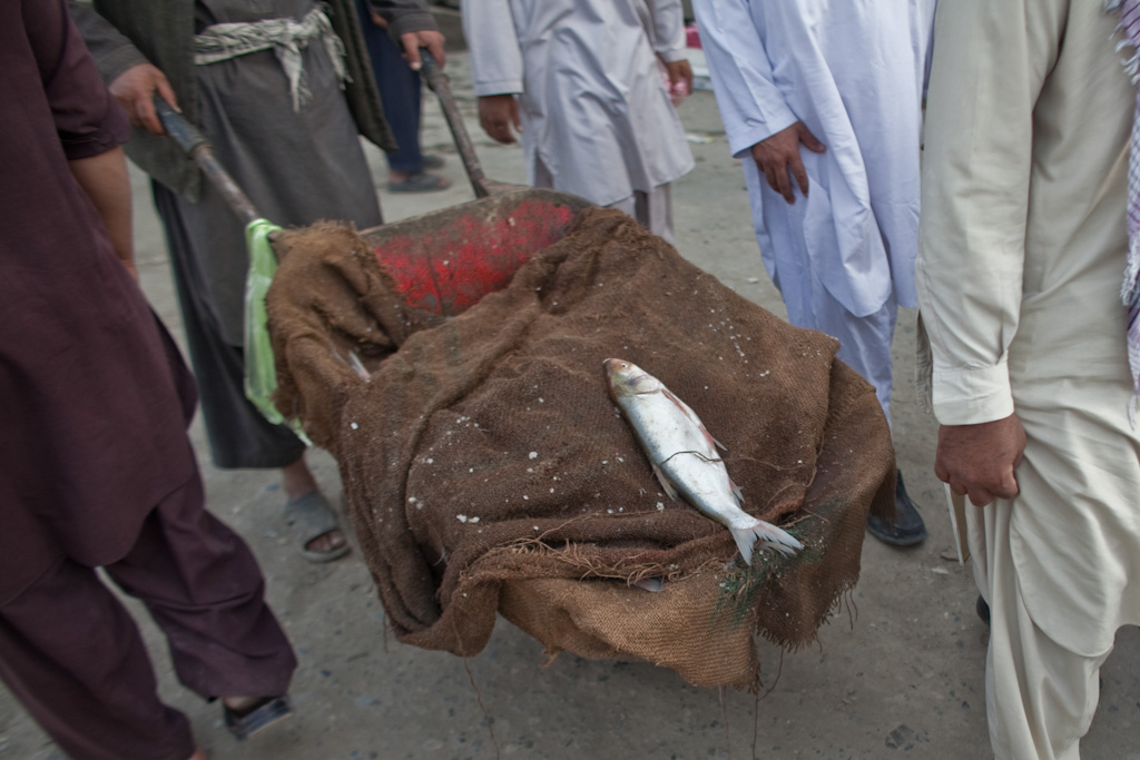 Kabul: market tactics