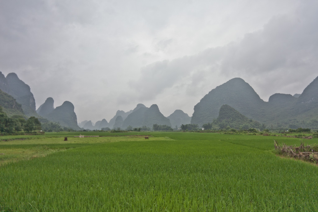 Aishanmen: rice paddy horizons