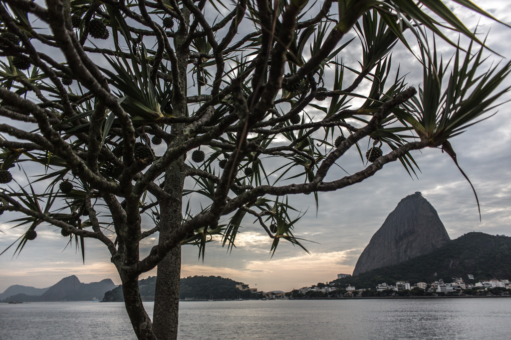 Rio de Janeiro: framed
