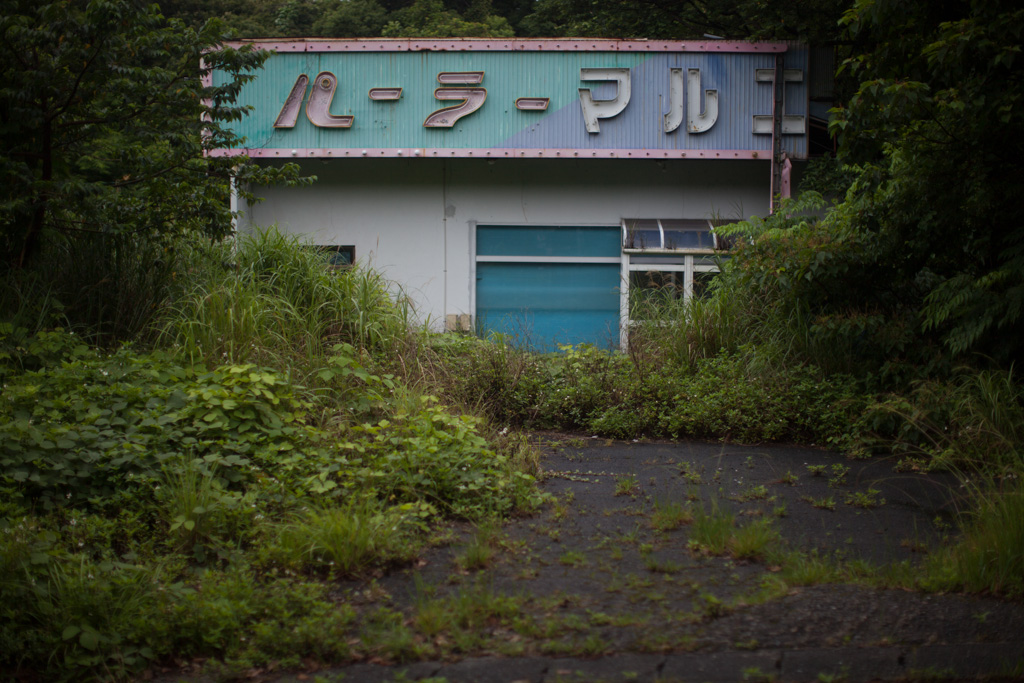 Yakushima: overgrown