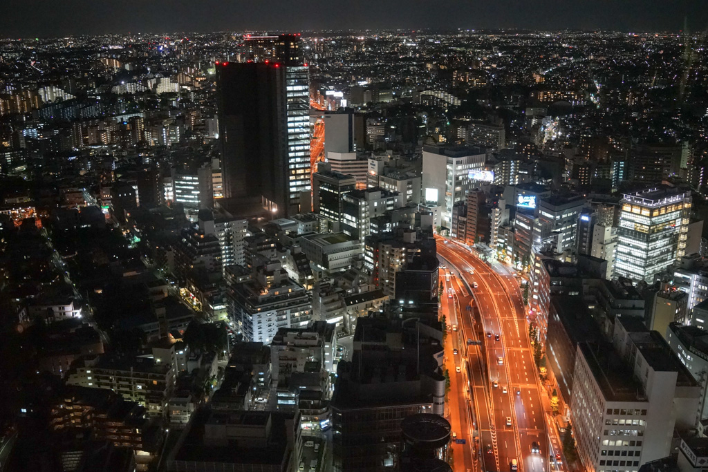 Tokyo: view from